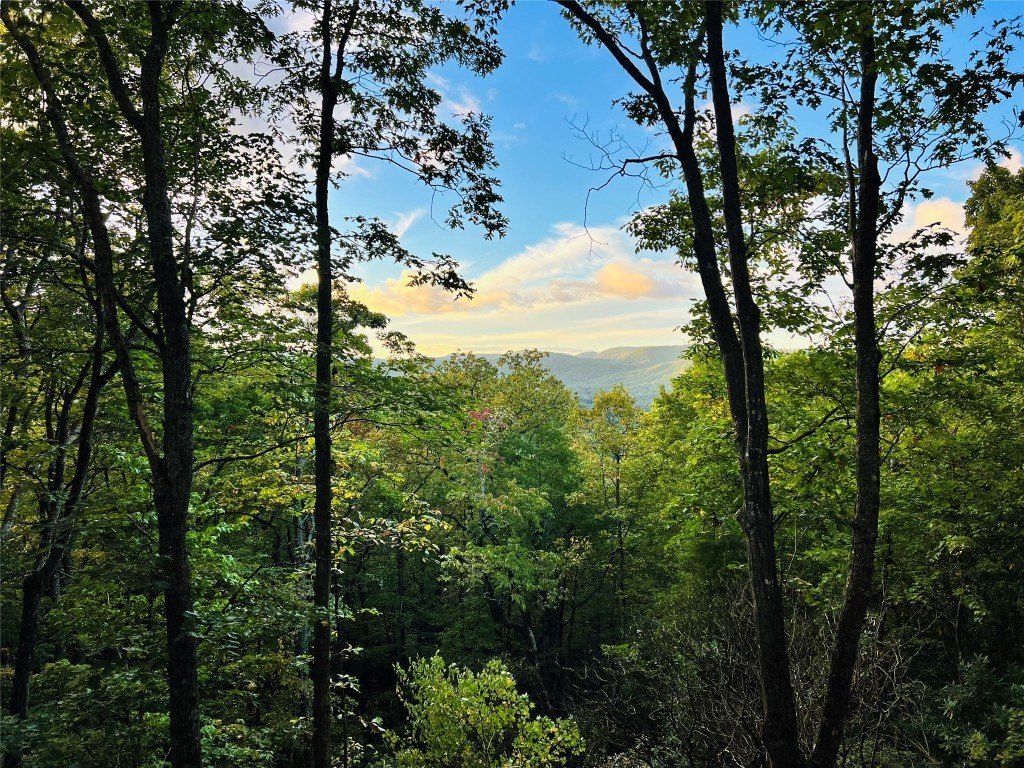 401 Windy Gap Lane Lot 1. Sapphire, NC 28774