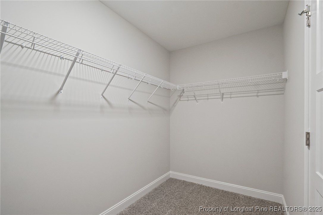 30080 Loblolly Court. Wagram, NC 28396