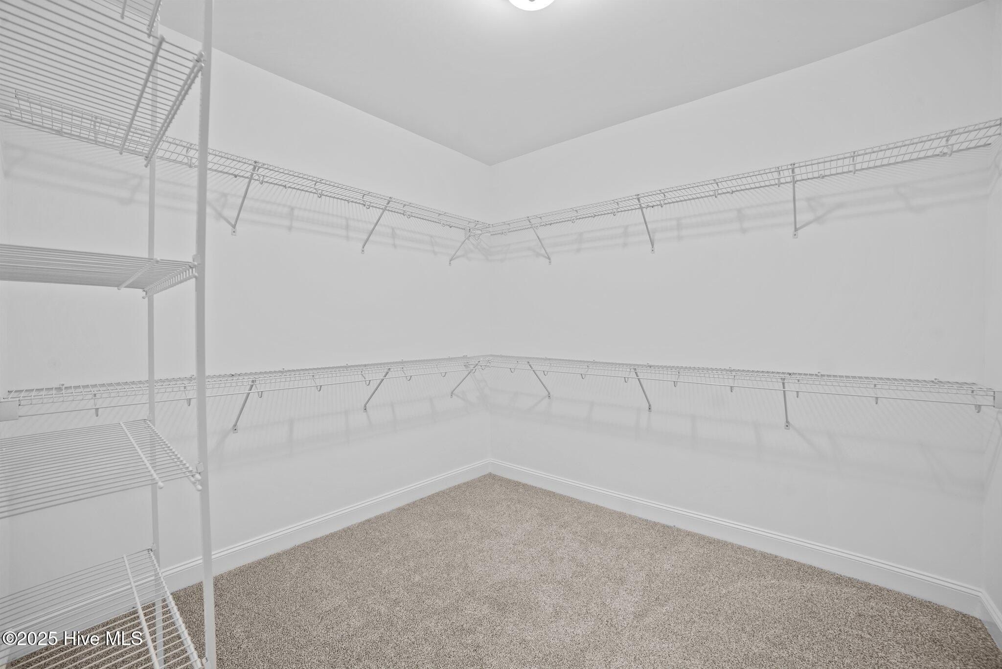 3209 Honeysuckle Drive Lot 397. Winterville, NC 28590