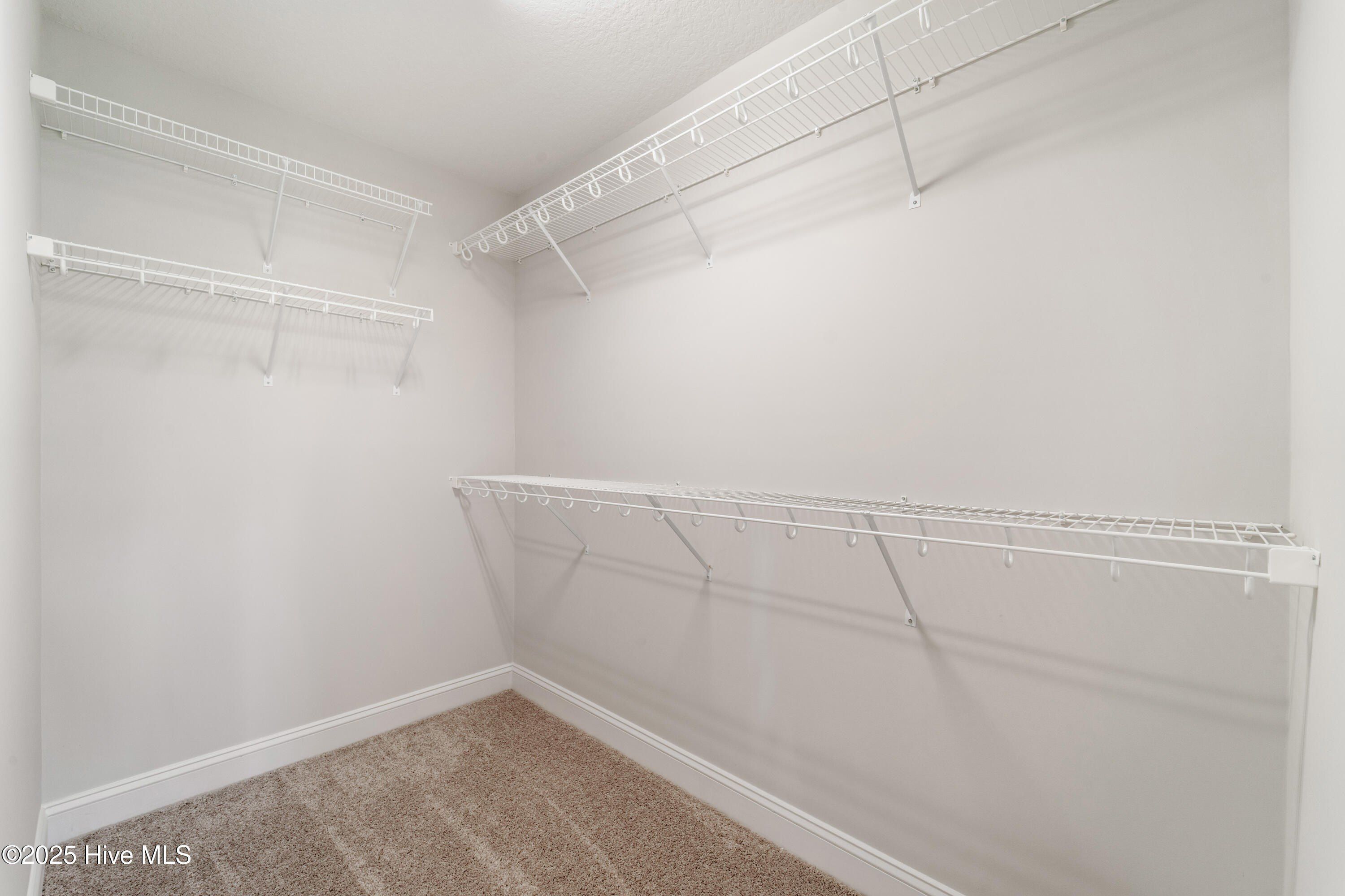 903 Miranda Court. Jacksonville, NC 28546