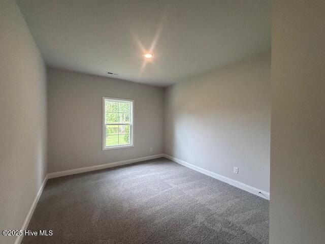 161 Firethorn Circle Lot 42. Wallace, NC 28466