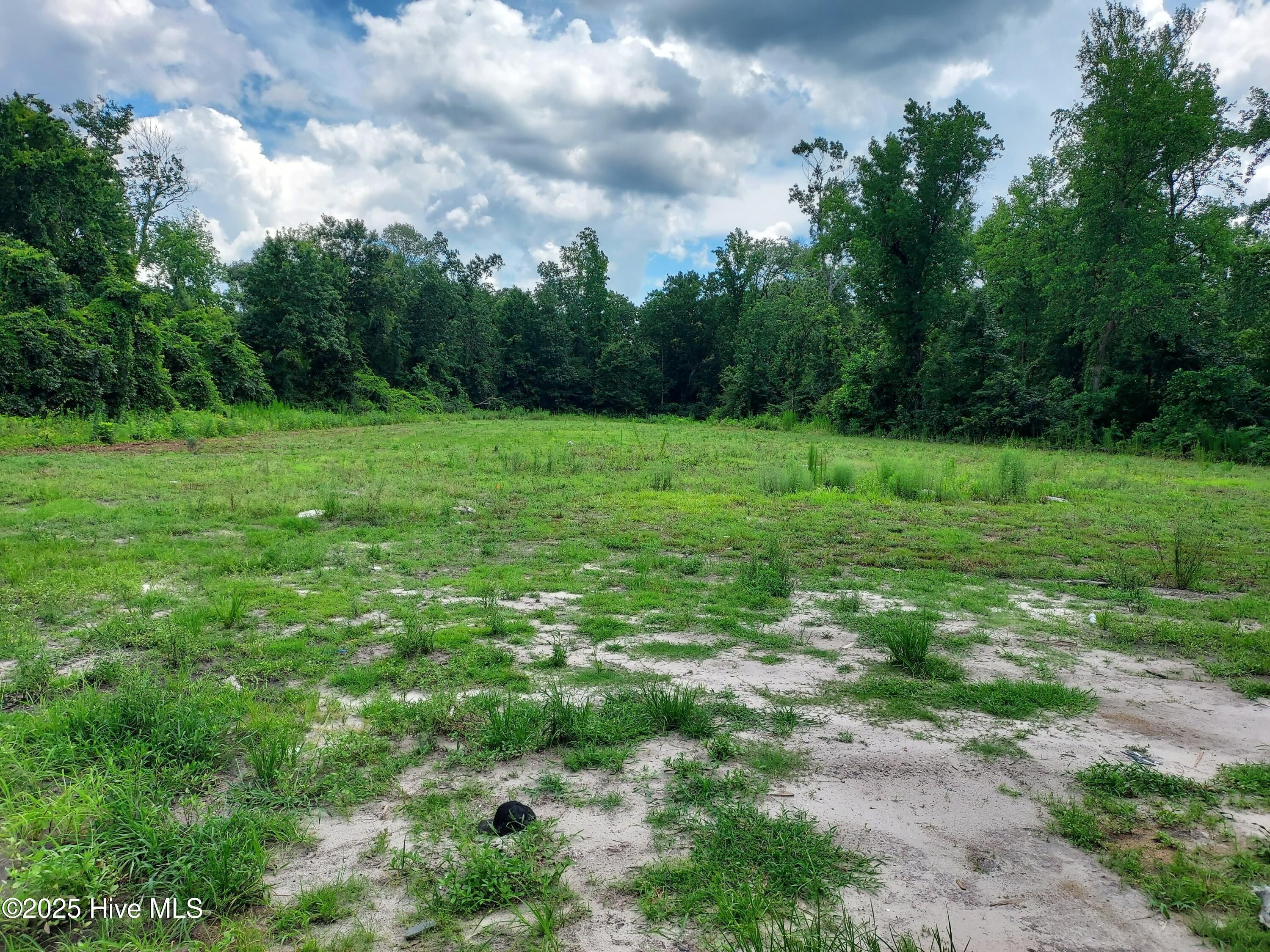 646 Bright Harvest Drive. Maysville, NC 28555