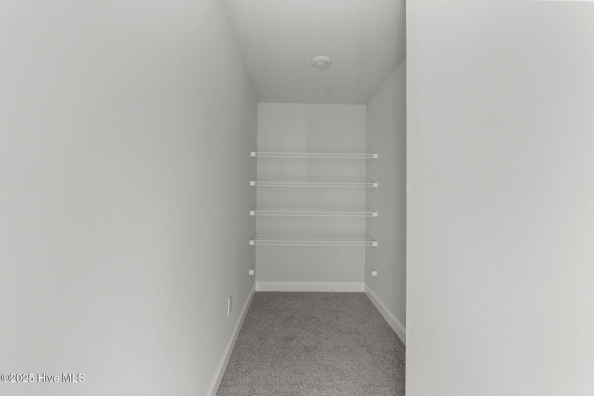 2986 Lyndhurst Terrace Sw. Shallotte, NC 28470