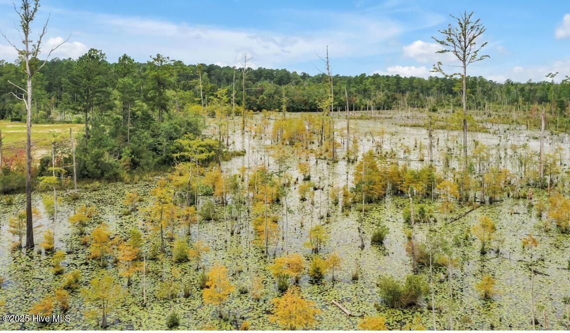 2004 Red Woodpeckers Ct  38. Leland, NC 28451