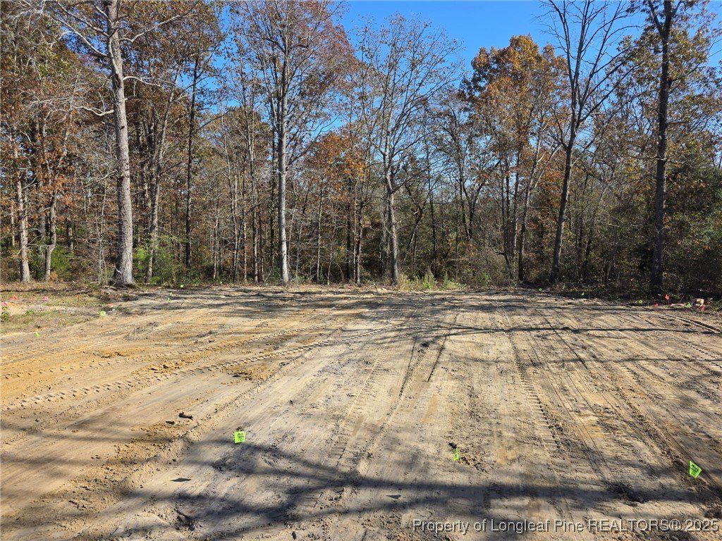 482 Black Duck Lot 75 Lane. Lillington, NC 27546