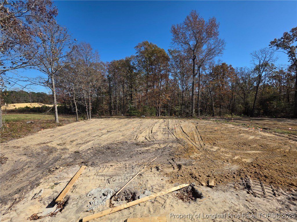 496 Black Duck Lot 74 Lane. Lillington, NC 27546