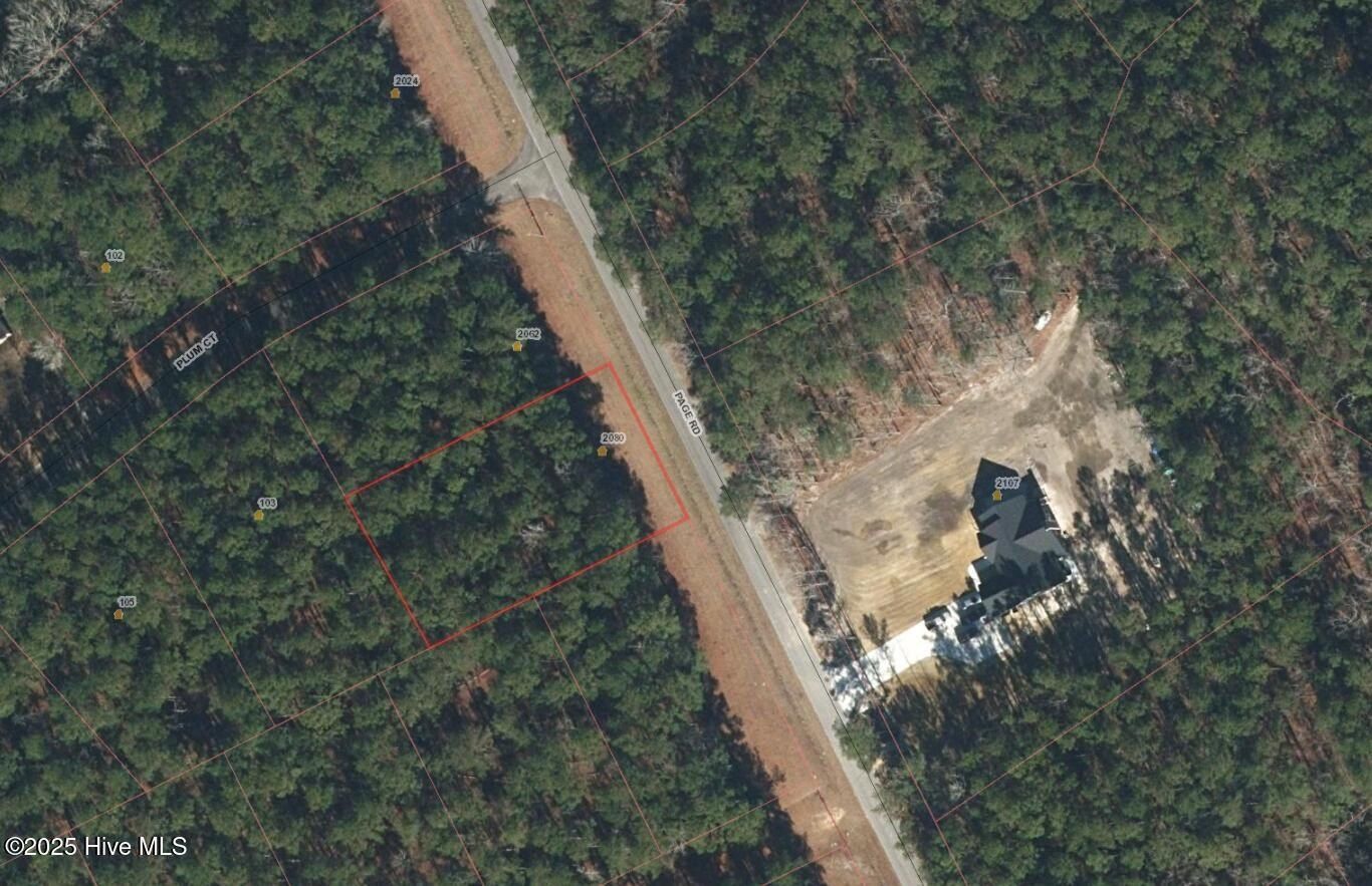 2080 Page Road Lot 1. Burgaw, NC 28425
