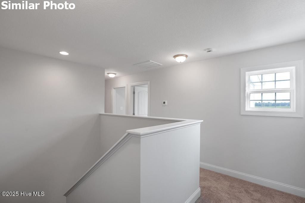 800 Calebs Creek Court Lot 188. Maysville, NC 28555