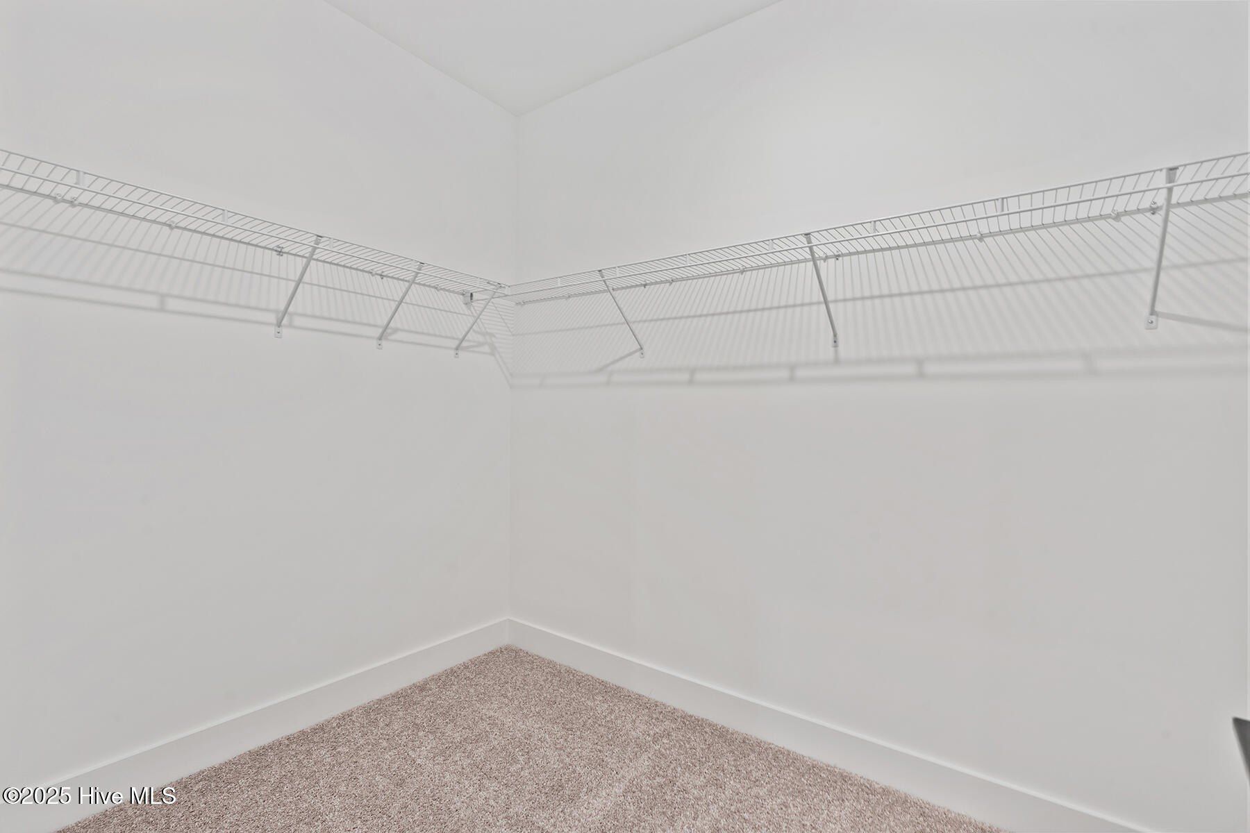 178 Umbrella Palm Drive S. Hampstead, NC 28443