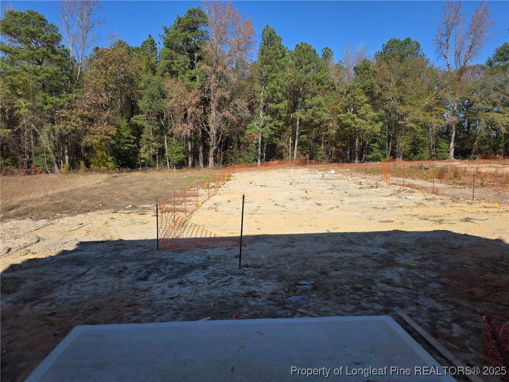 339 Hookbill Lot 24 Lane. Lillington, NC 27546