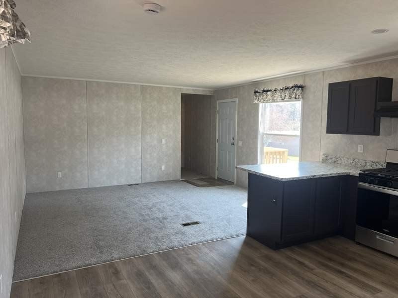 669 Monte Vista. Candler, NC 28715