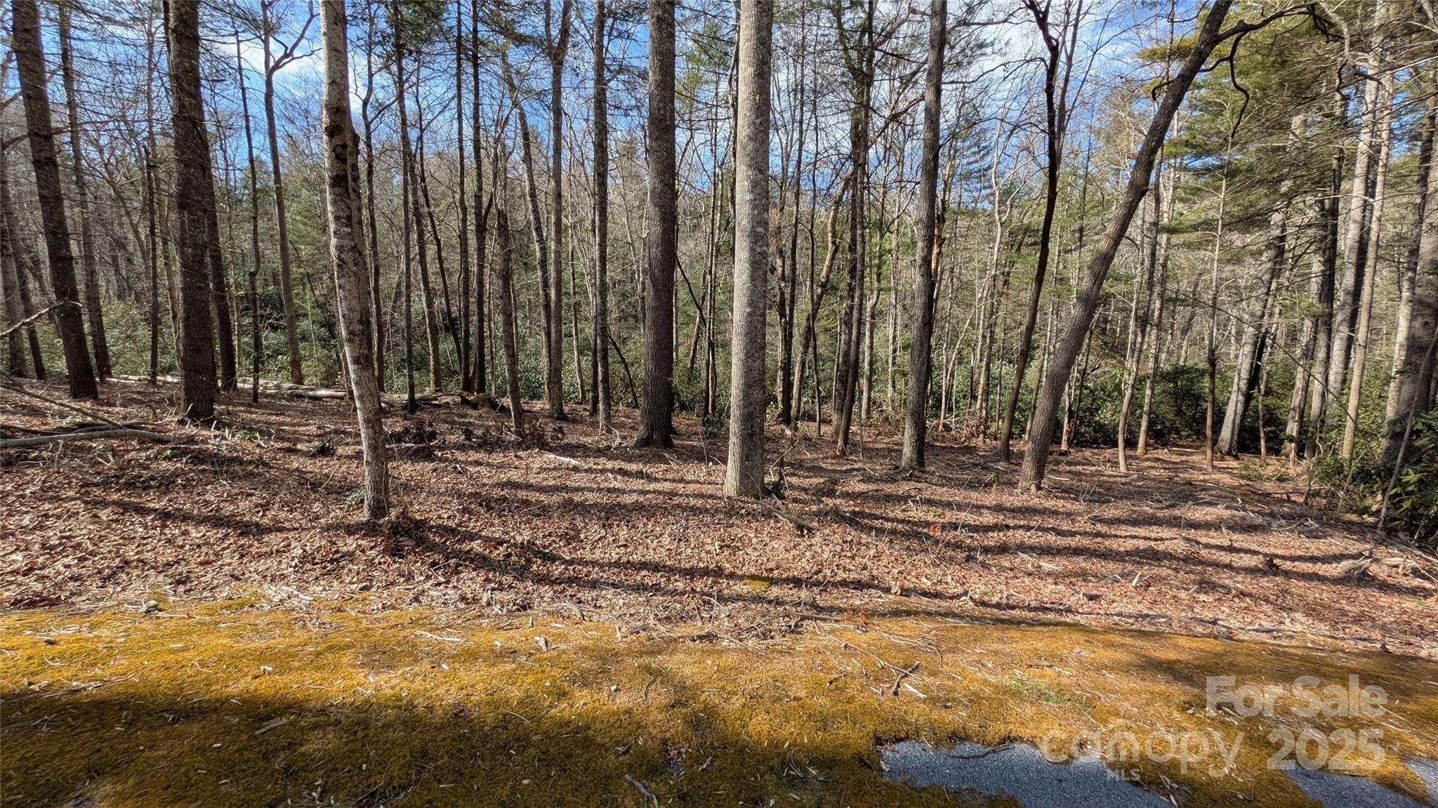 257 Roberts Lane N Unit 7. Flat Rock, NC 28731