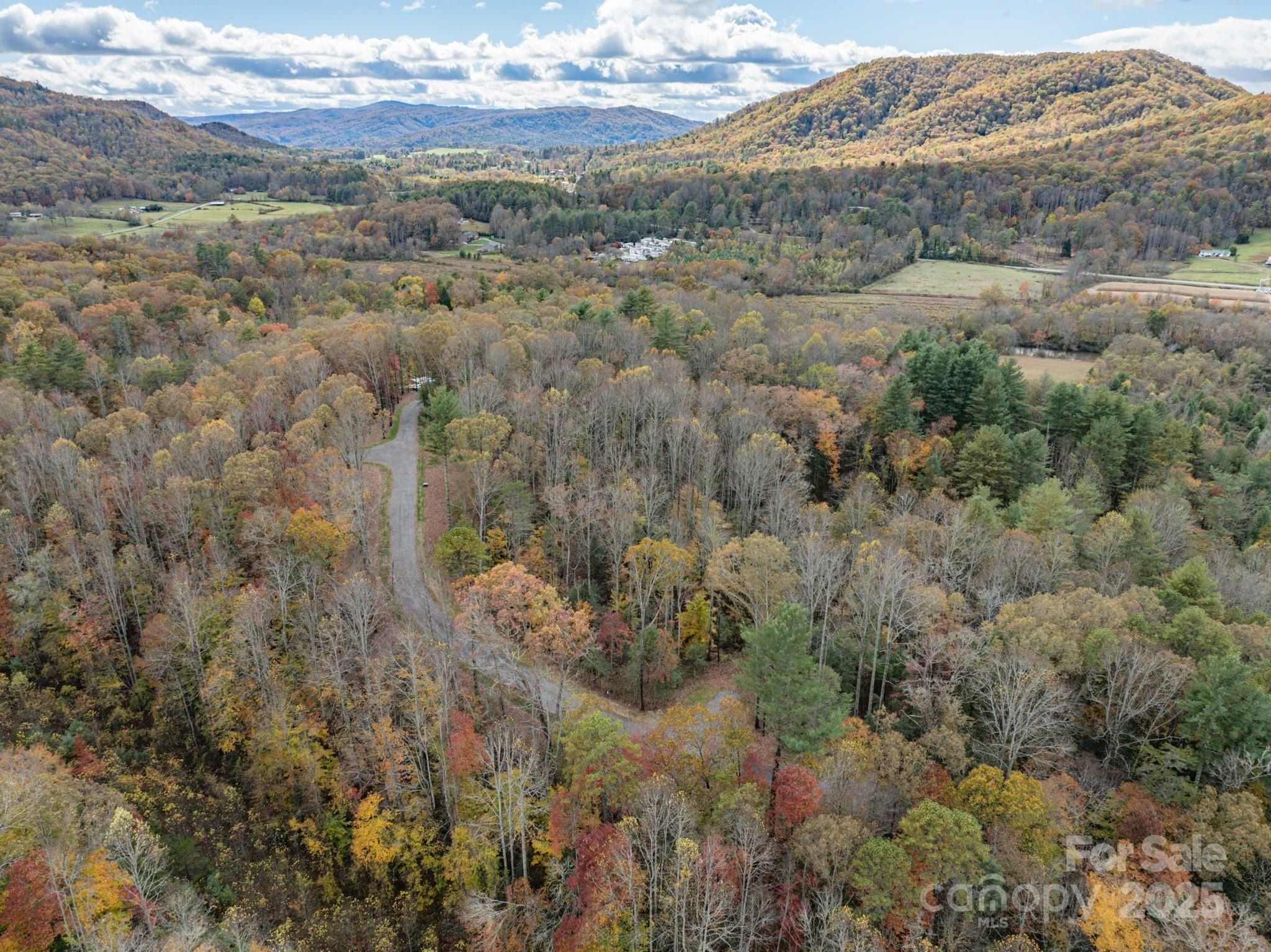 20 Nature Walk Lane. Hendersonville, NC 28739