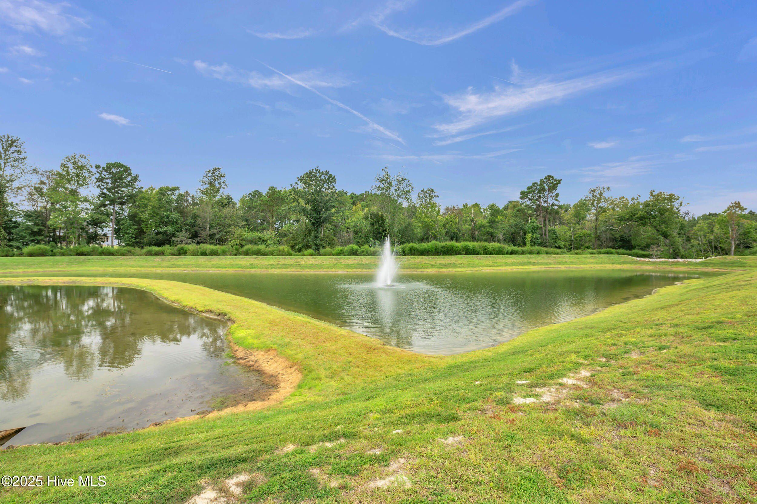 103 Dragonfly Lane. Hampstead, NC 28443