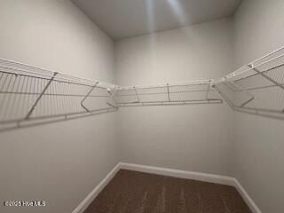 115 Boxwood Court. Wallace, NC 28466