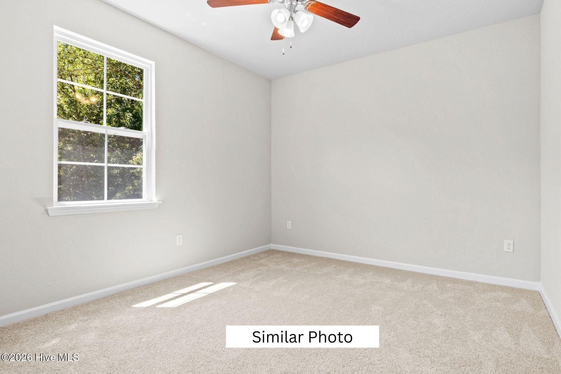 206 Halifax Court. Shiloh, NC 27974