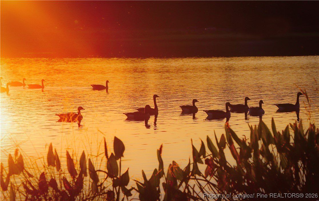 940 Lakewind. Sanford, NC 27332