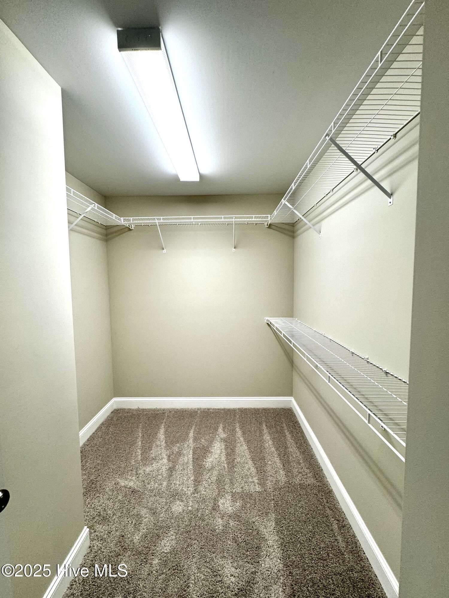 201 Talton Farm Drive. Pikeville, NC 27863