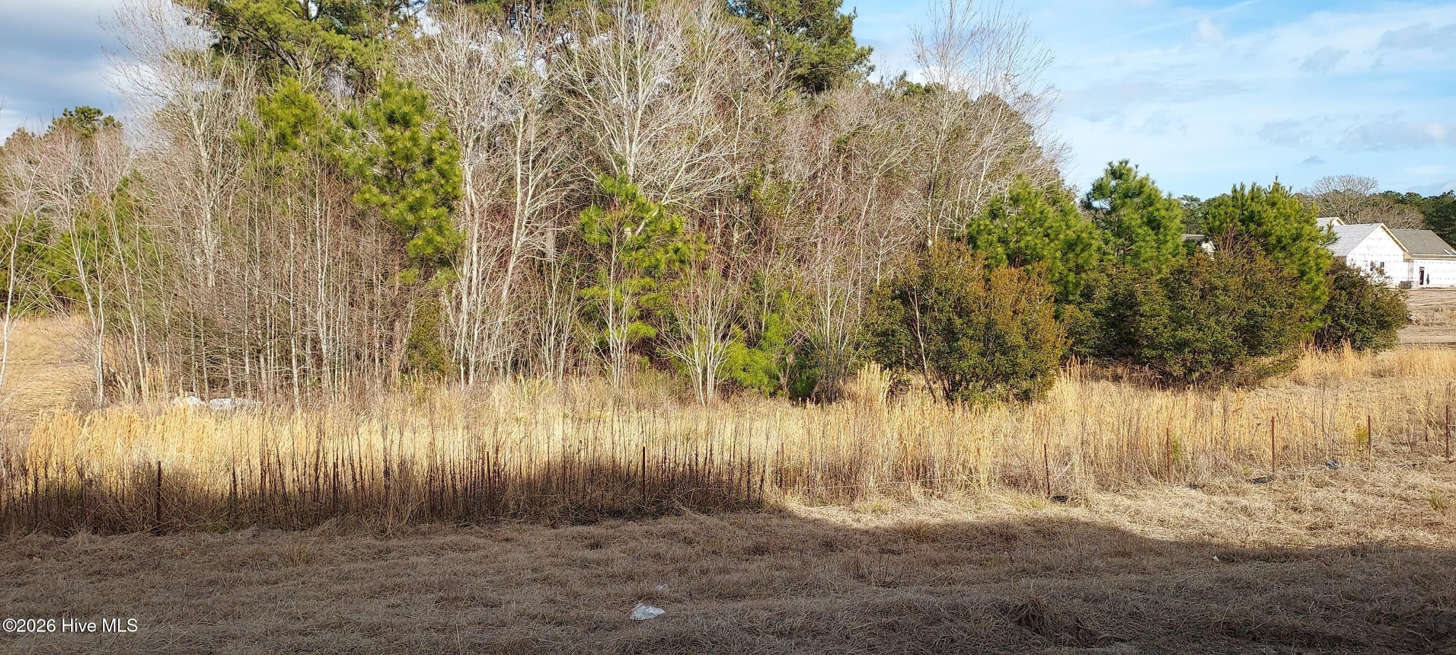 118 Cripple Creek Drive. Swansboro, NC 28584
