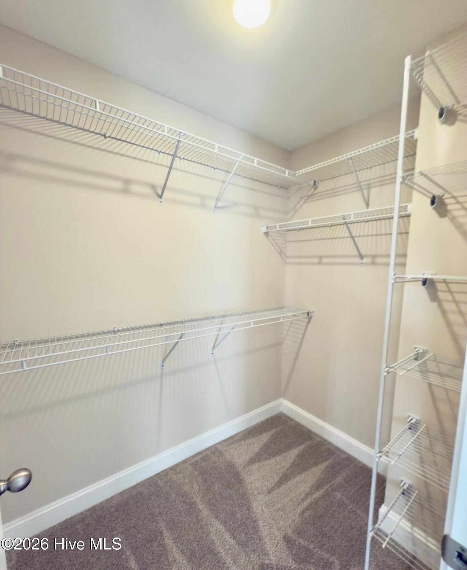 W Pine Street Unit A. Farmville, NC 27828