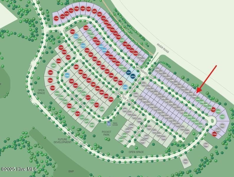 5940 Moonshell Loop. Wilmington, NC 28412