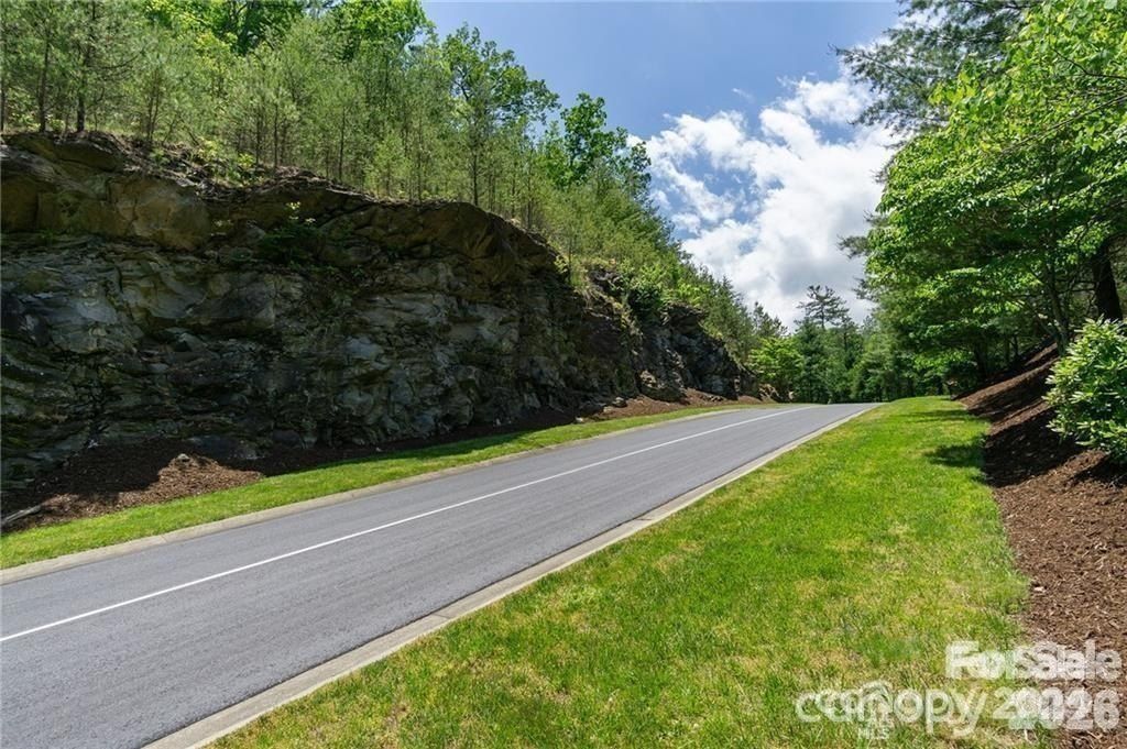 9999 Woodhen Way 138  139. Horse Shoe, NC 28742