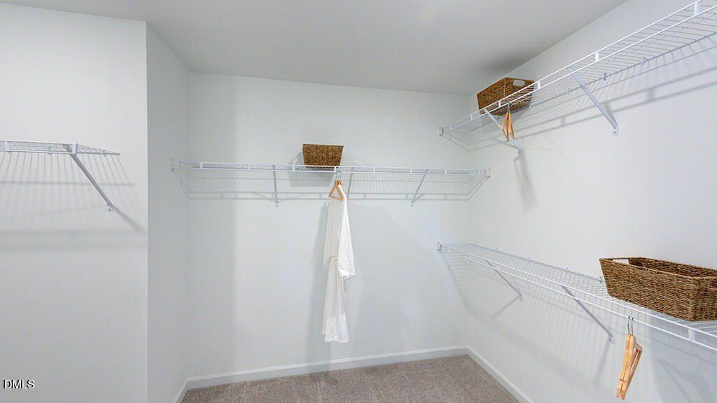 1136 Condor Junction Road. Wendell, NC 27591