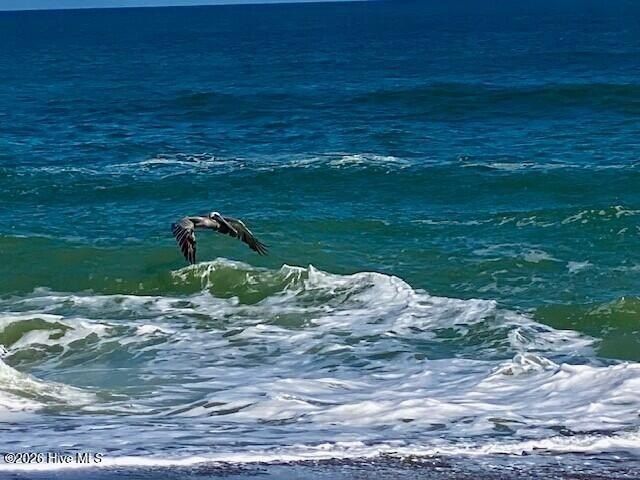 1 Red Bay Court. Bald Head Island, NC 28461