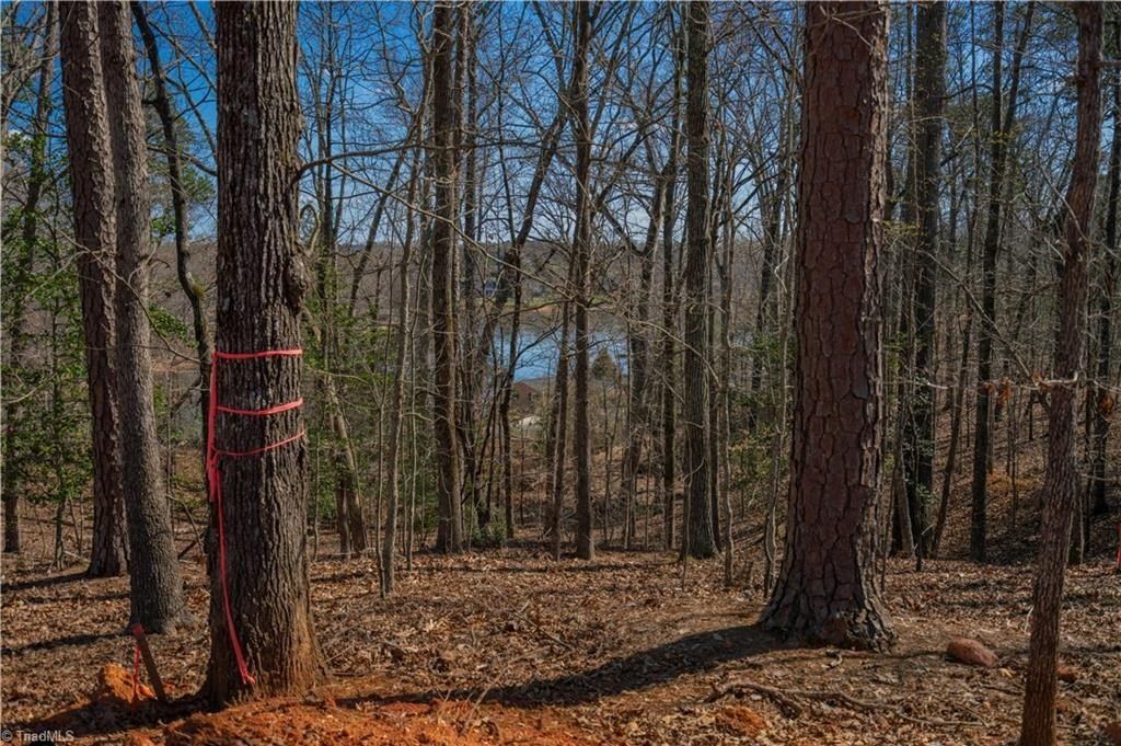 2827 Beckner Road. Lexington, NC 27292