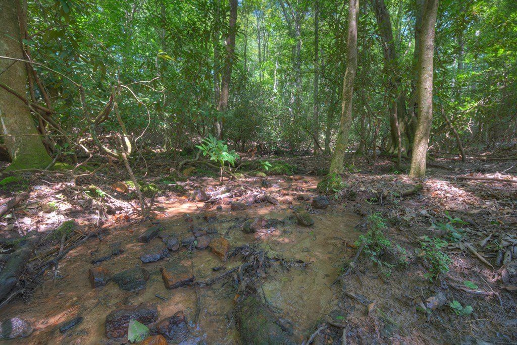 1254 Friendship Church Rd. Murphy, NC 28906