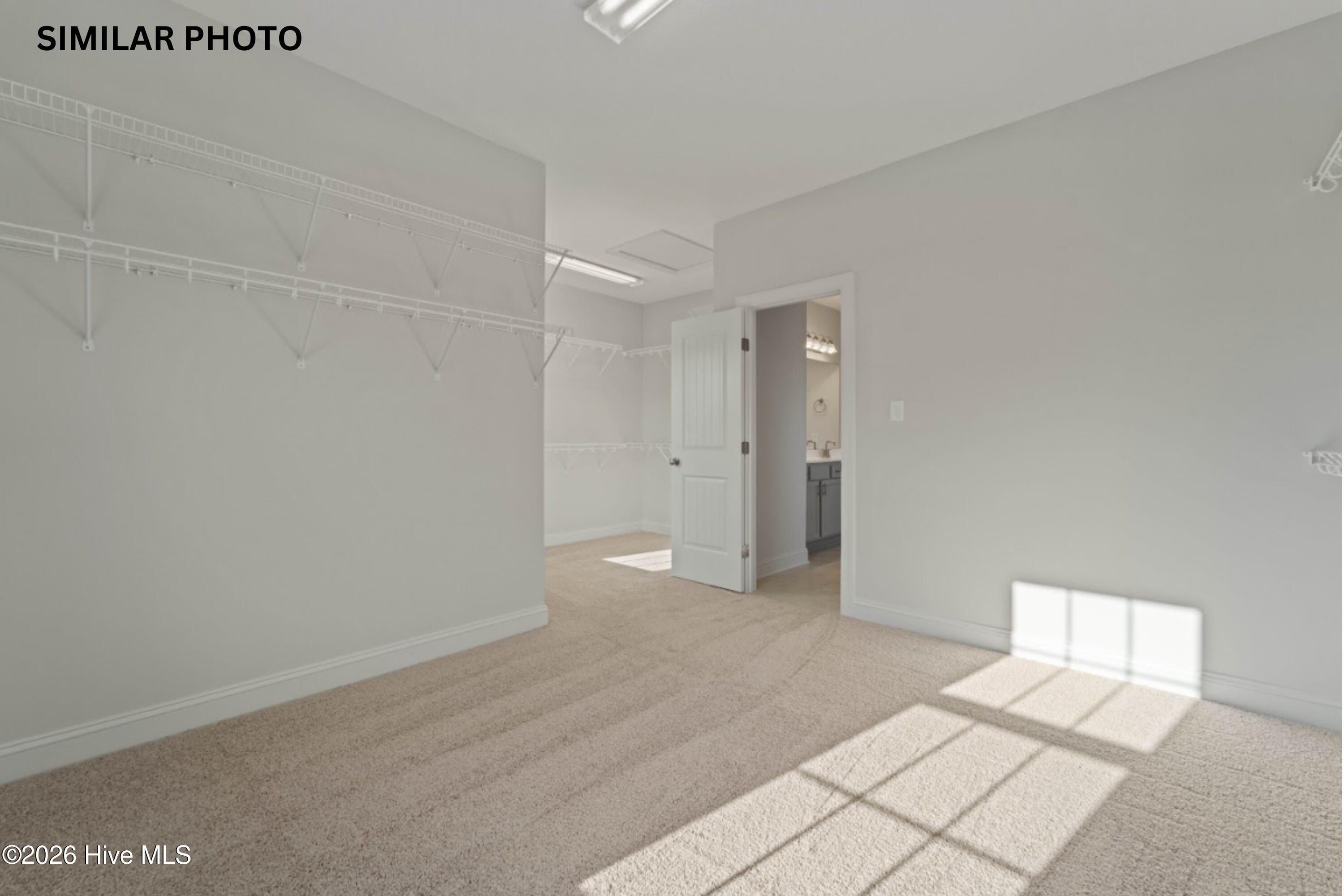 208 Big August Way. Jacksonville, NC 28546