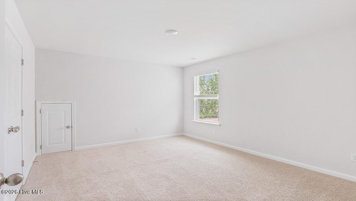 5318 Areca Road Lot 346. Castle Hayne, NC 28429