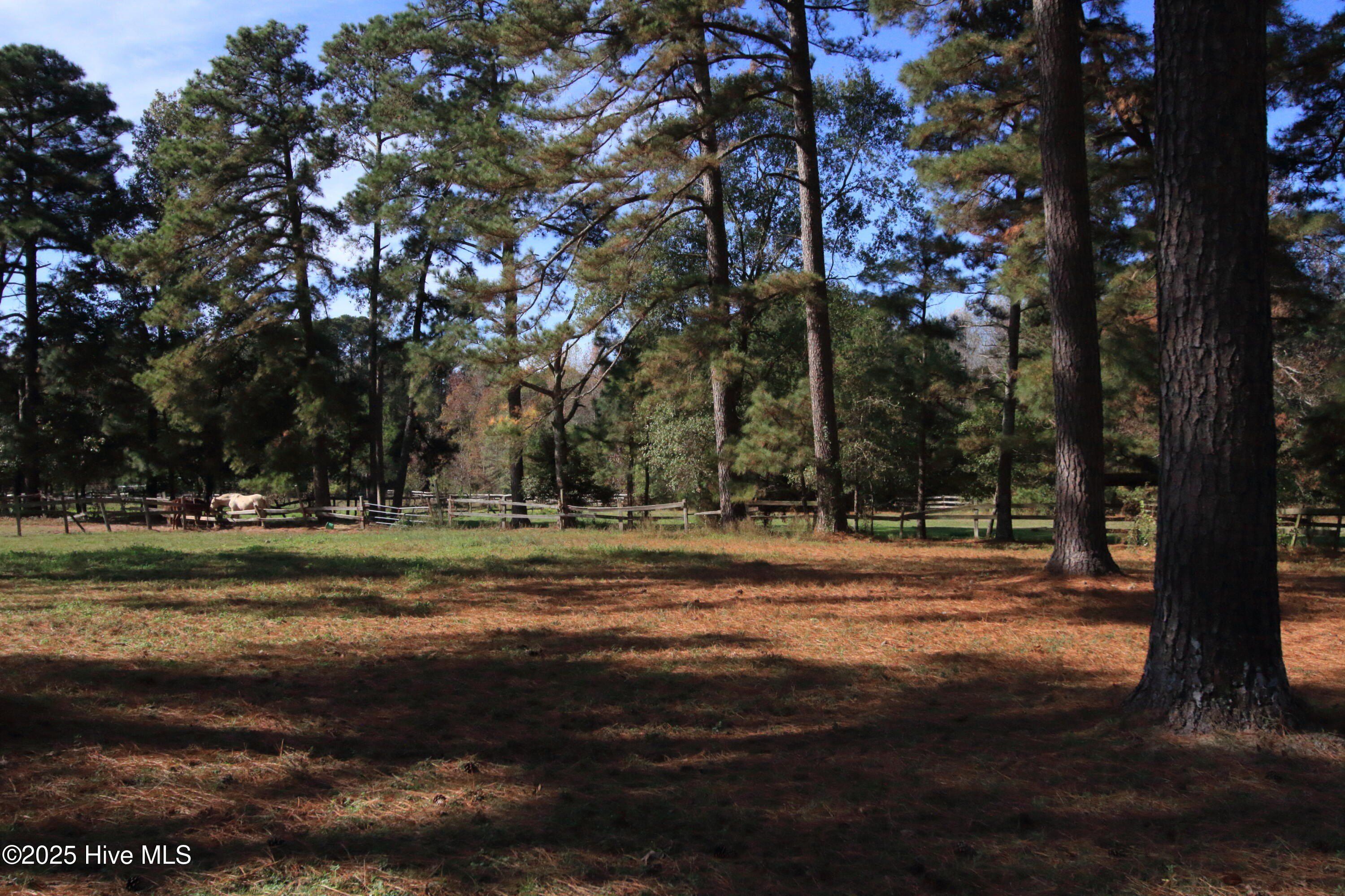 Cedar Lane Road. Sanford, NC 27332