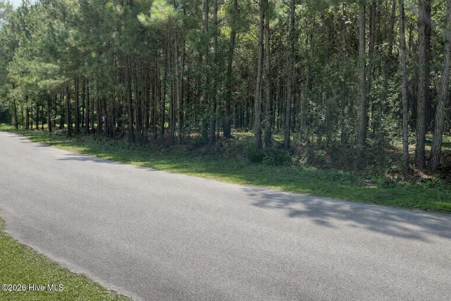 105 Blades Village Drive. Havelock, NC 28532