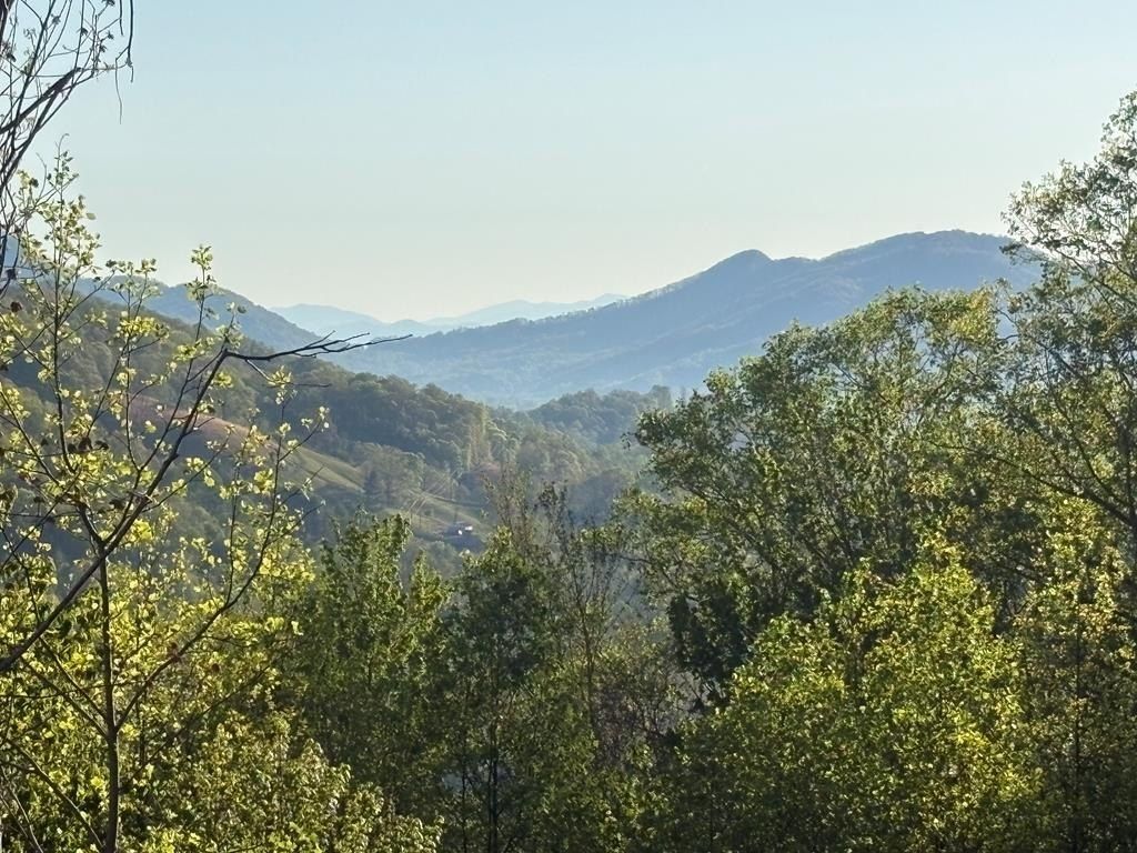 76 Busters Drive. Waynesville, NC 28786