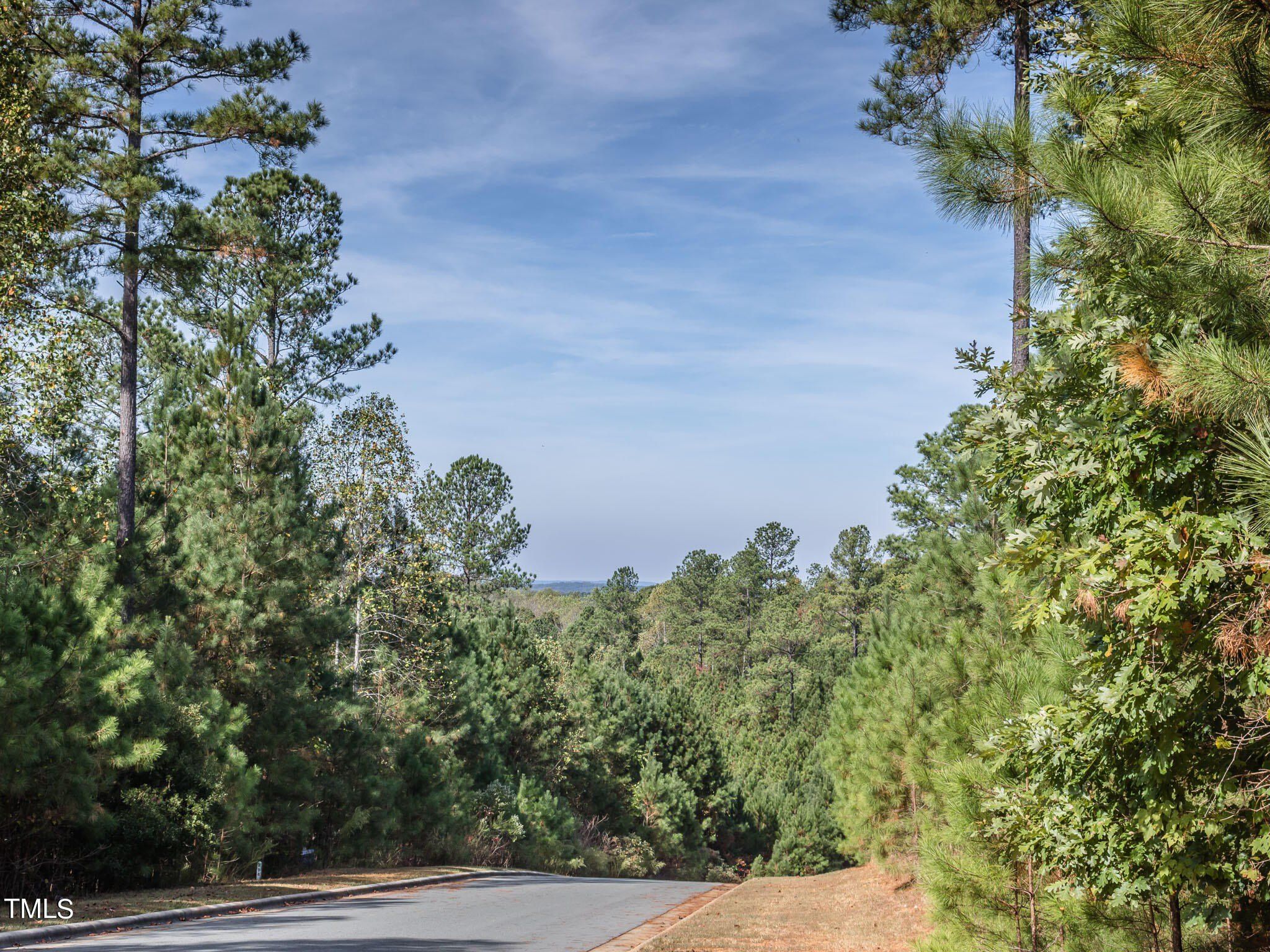 774 Golfers View. Pittsboro, NC 27312