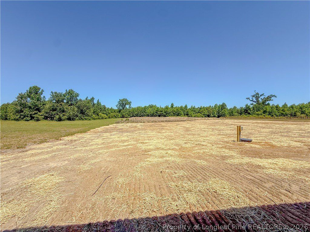3987 Blue Springs Lot 5 Road. Red Springs, NC 28377