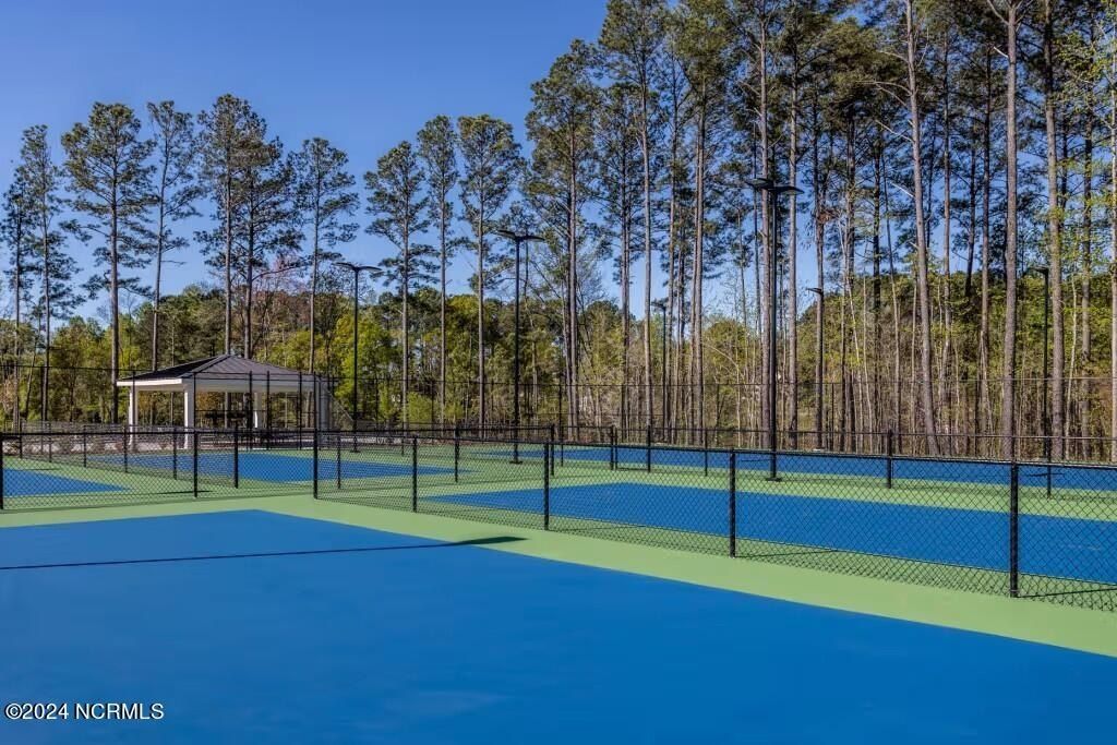 4177 Yellow Flag Iris Street. Leland, NC 28479