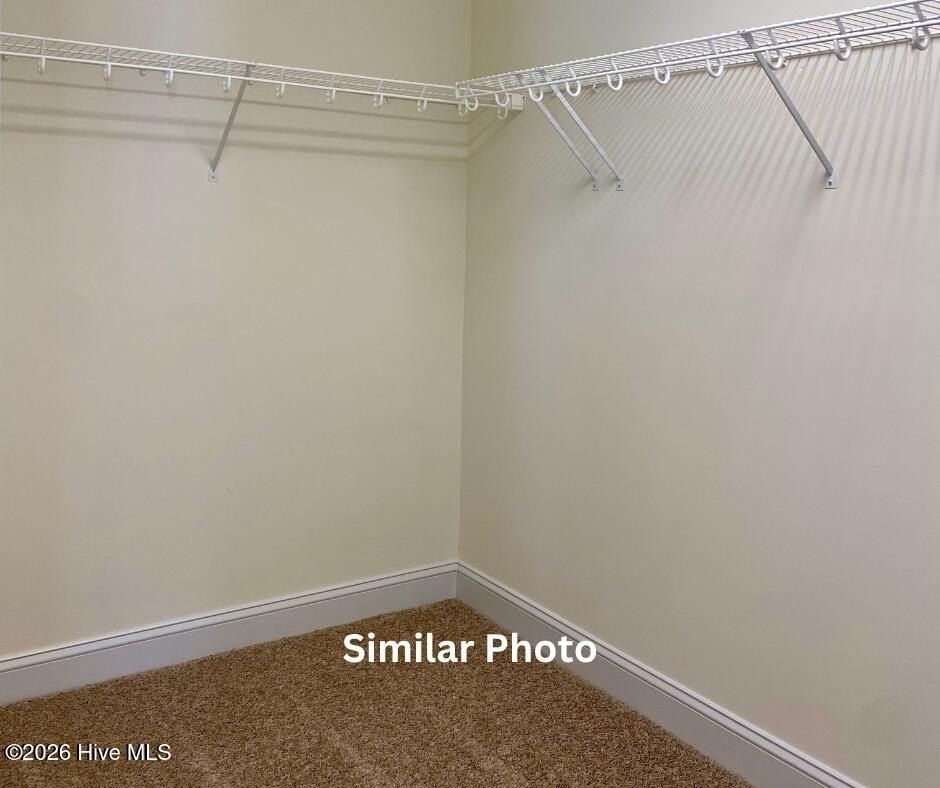 286 Water Wagon Trail. Jacksonville, NC 28546