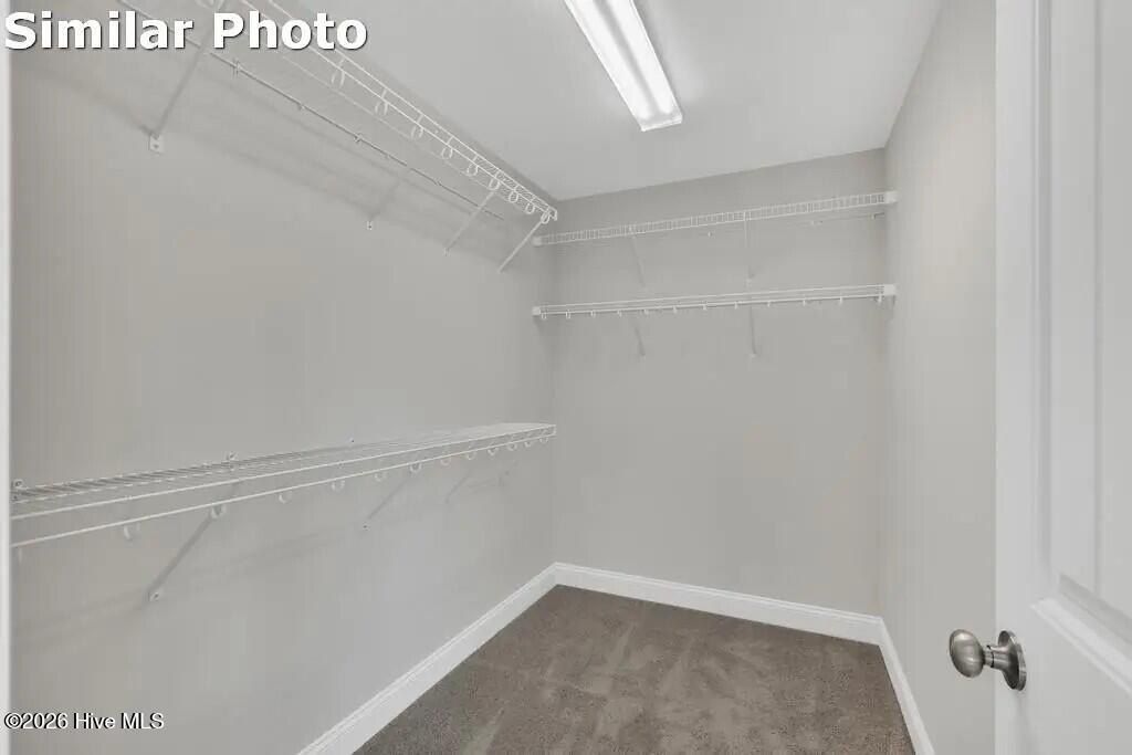 506 E Black Water Lane. Maysville, NC 28555