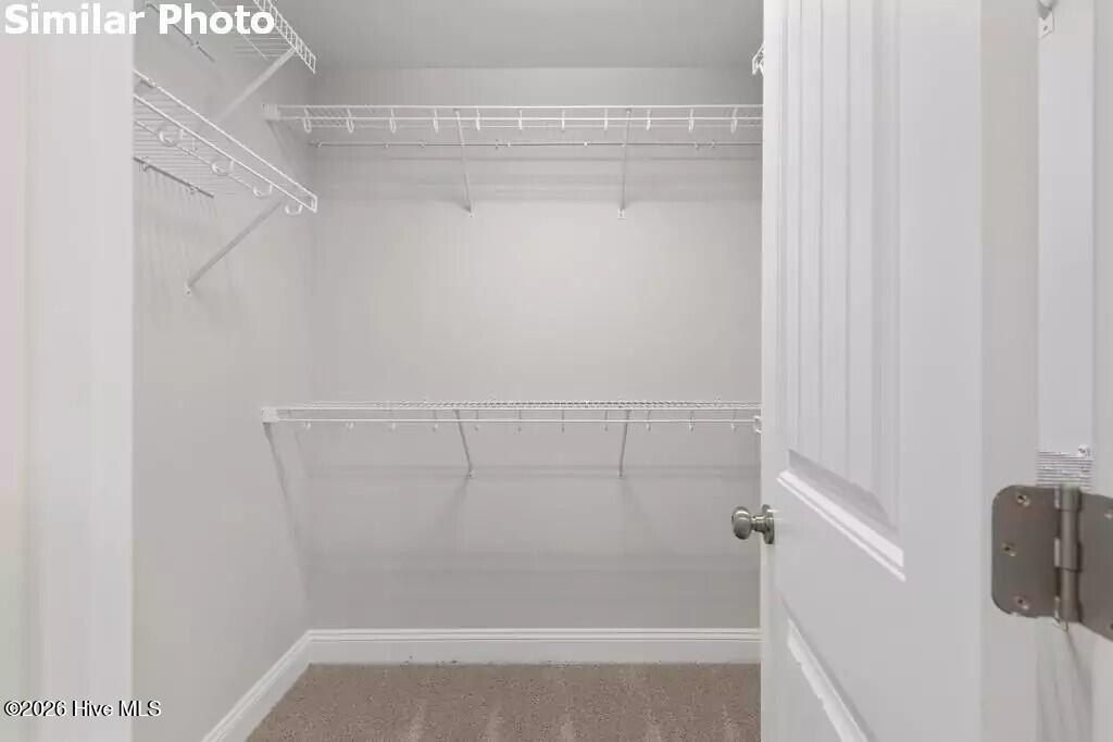 512 E Black Water Lane. Maysville, NC 28555