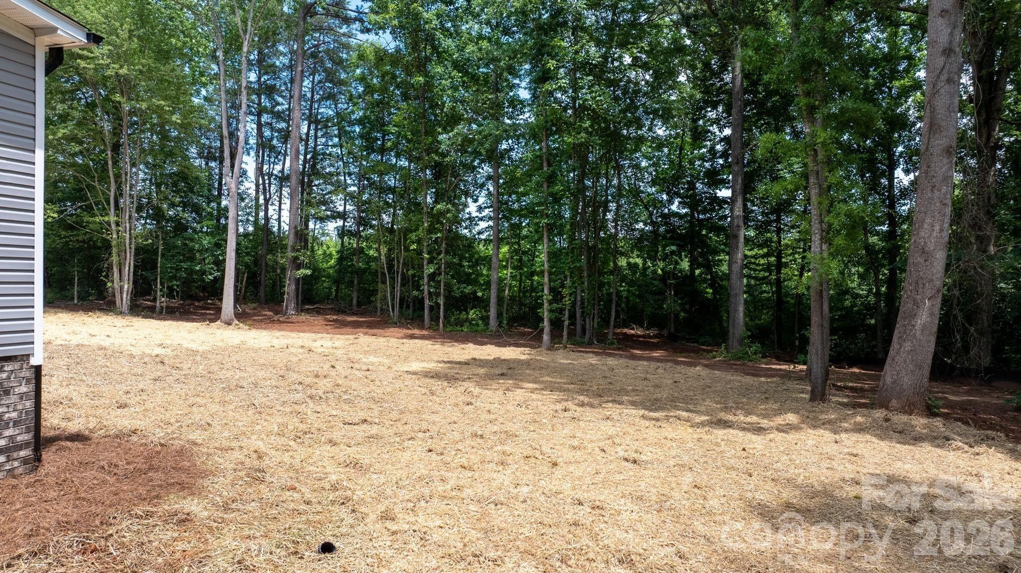 1331 Maiden Wood Circle. Maiden, NC 28650