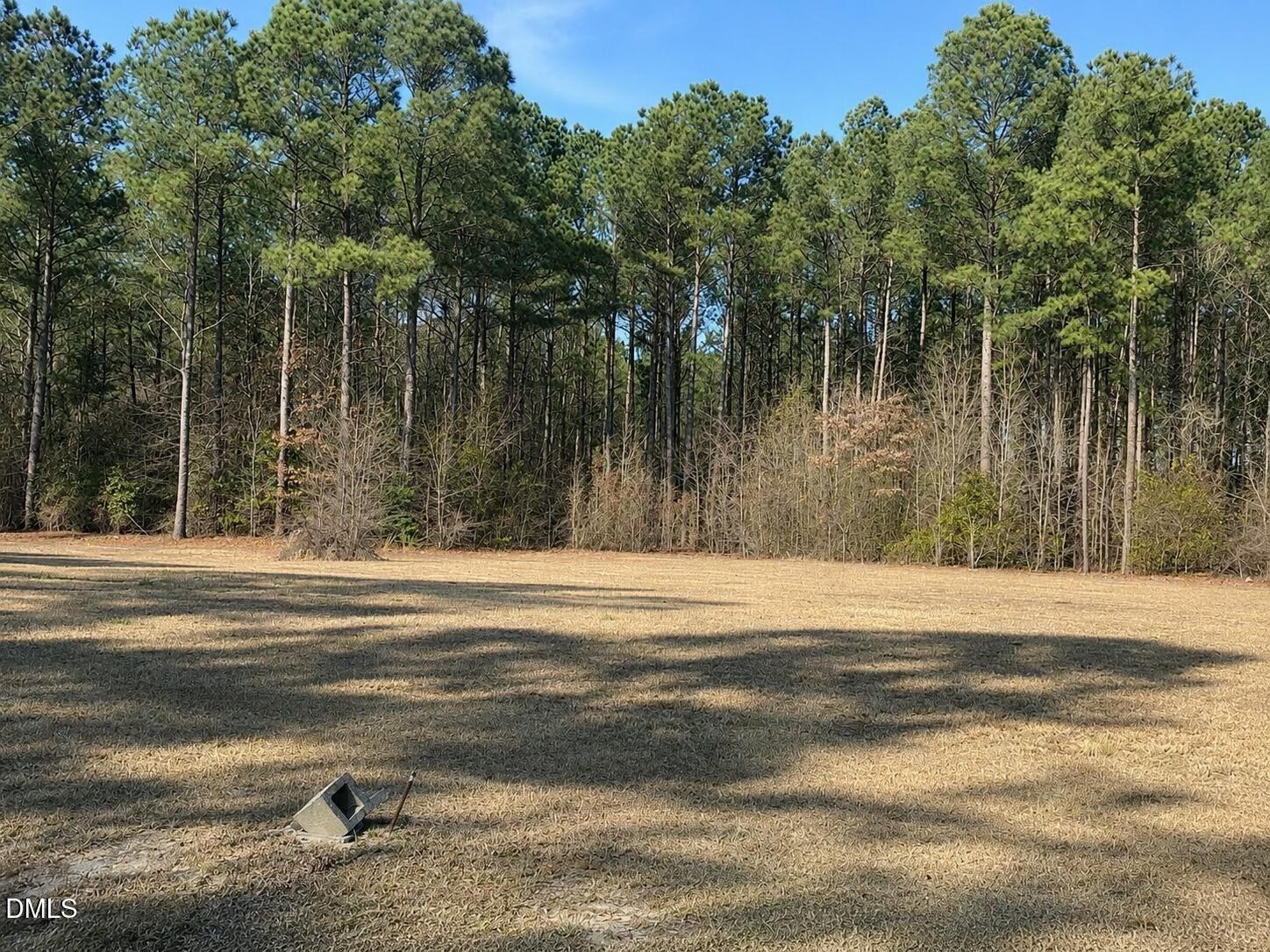 290 Raynor Sands Drive. Dunn, NC 28334