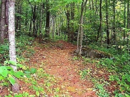 Southshore Drive Lot 670. Tuckasegee, NC 28783