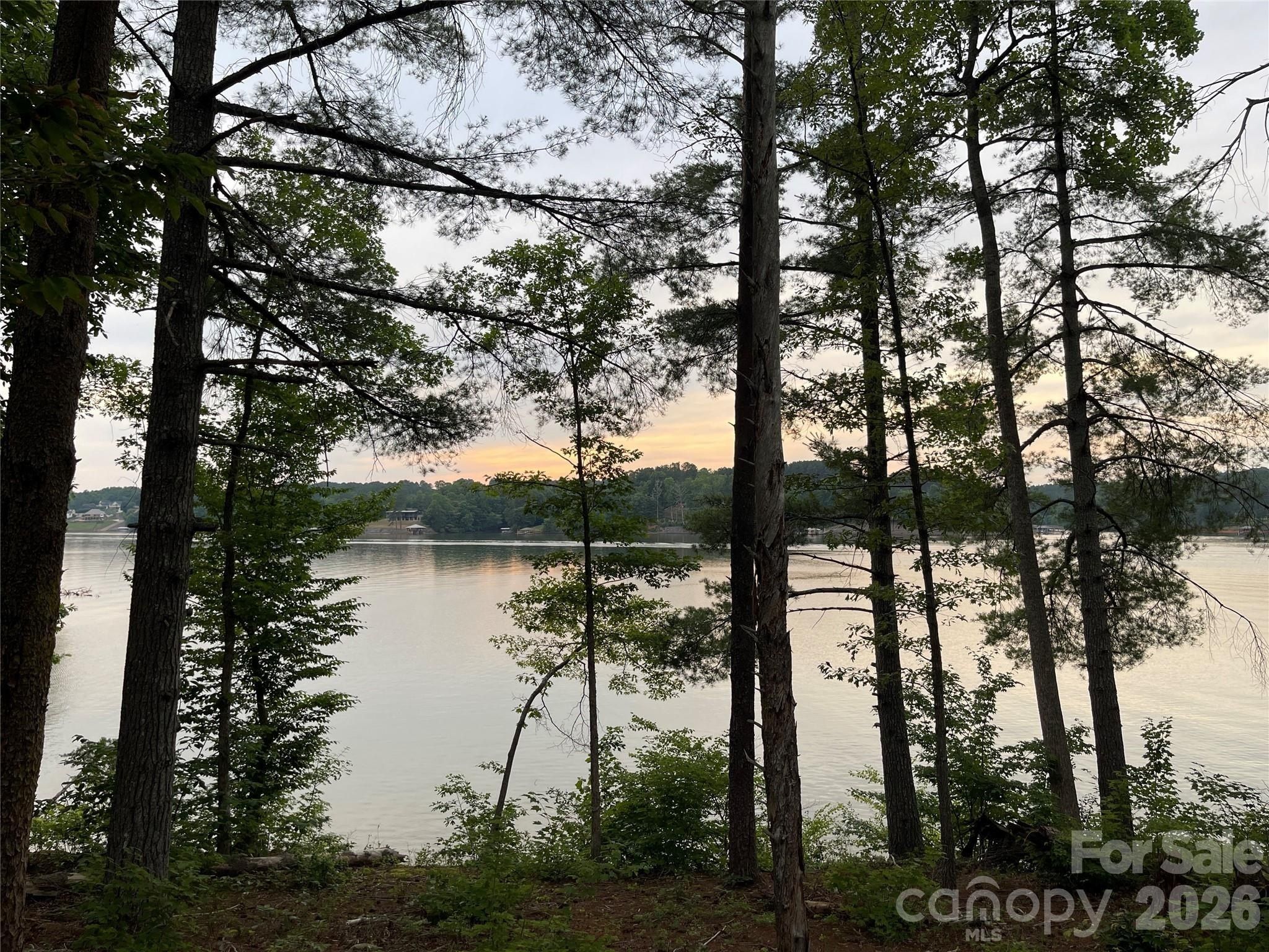 2199 Castle Peak Mountain. Connelly Springs, NC 28612