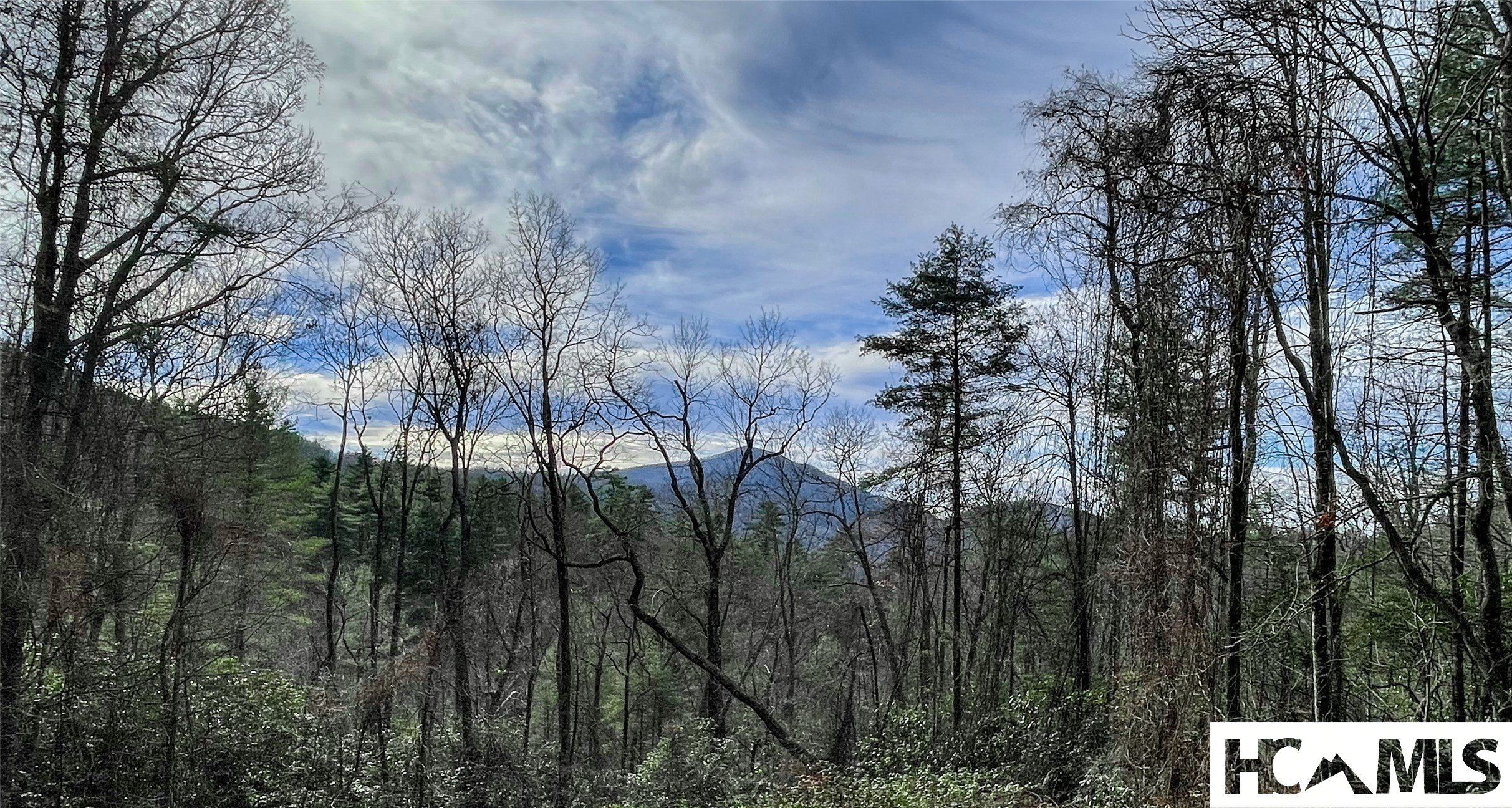 Lot 10. Cashiers, NC 28717