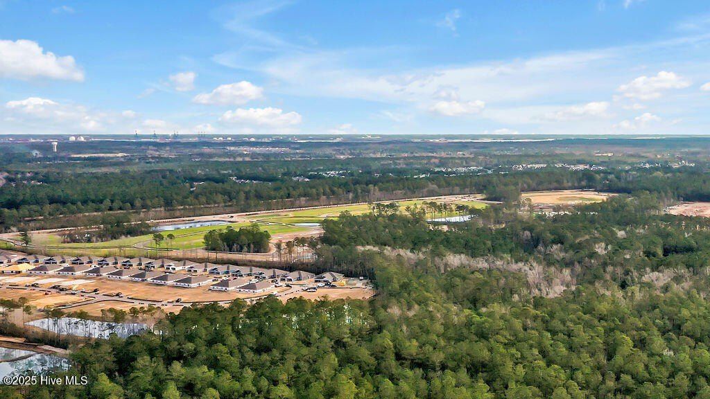 1176 Indigo Bunting Drive Lot 68. Leland, NC 28451