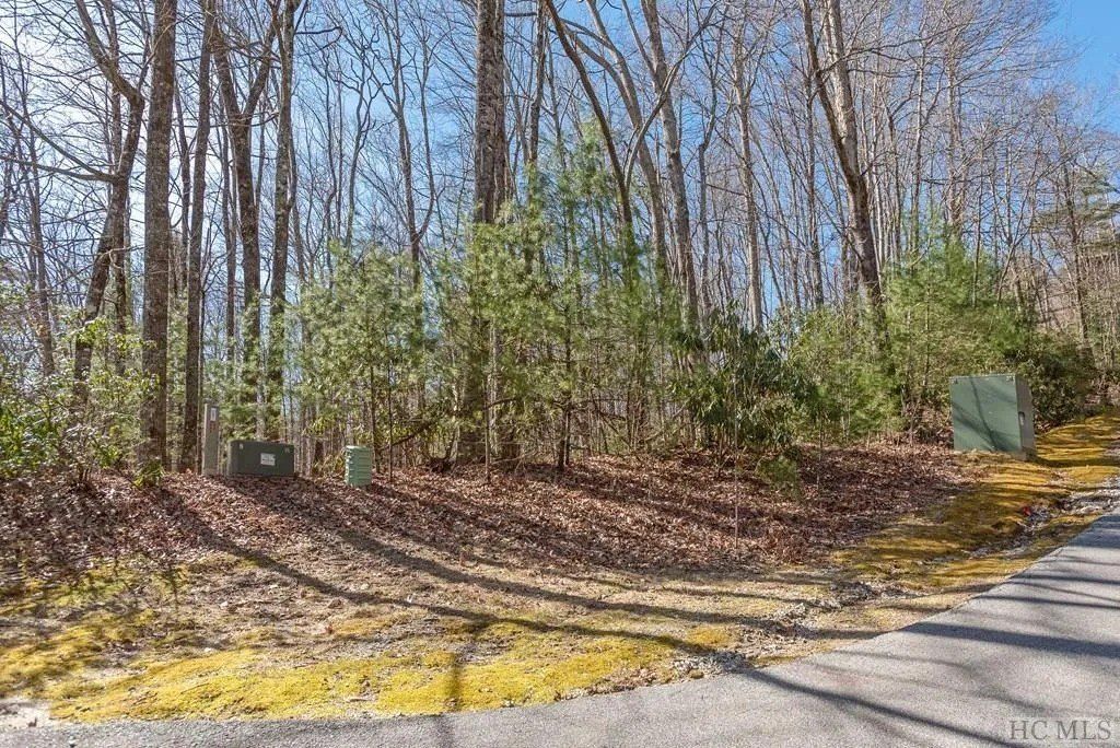 35 Trillium Court Lot 35. Sapphire, NC 28774