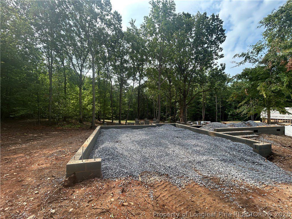 Buckhorn Road Lot 2. Sanford, NC 27330