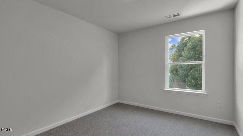 43 Bee Garden Court. Angier, NC 27501